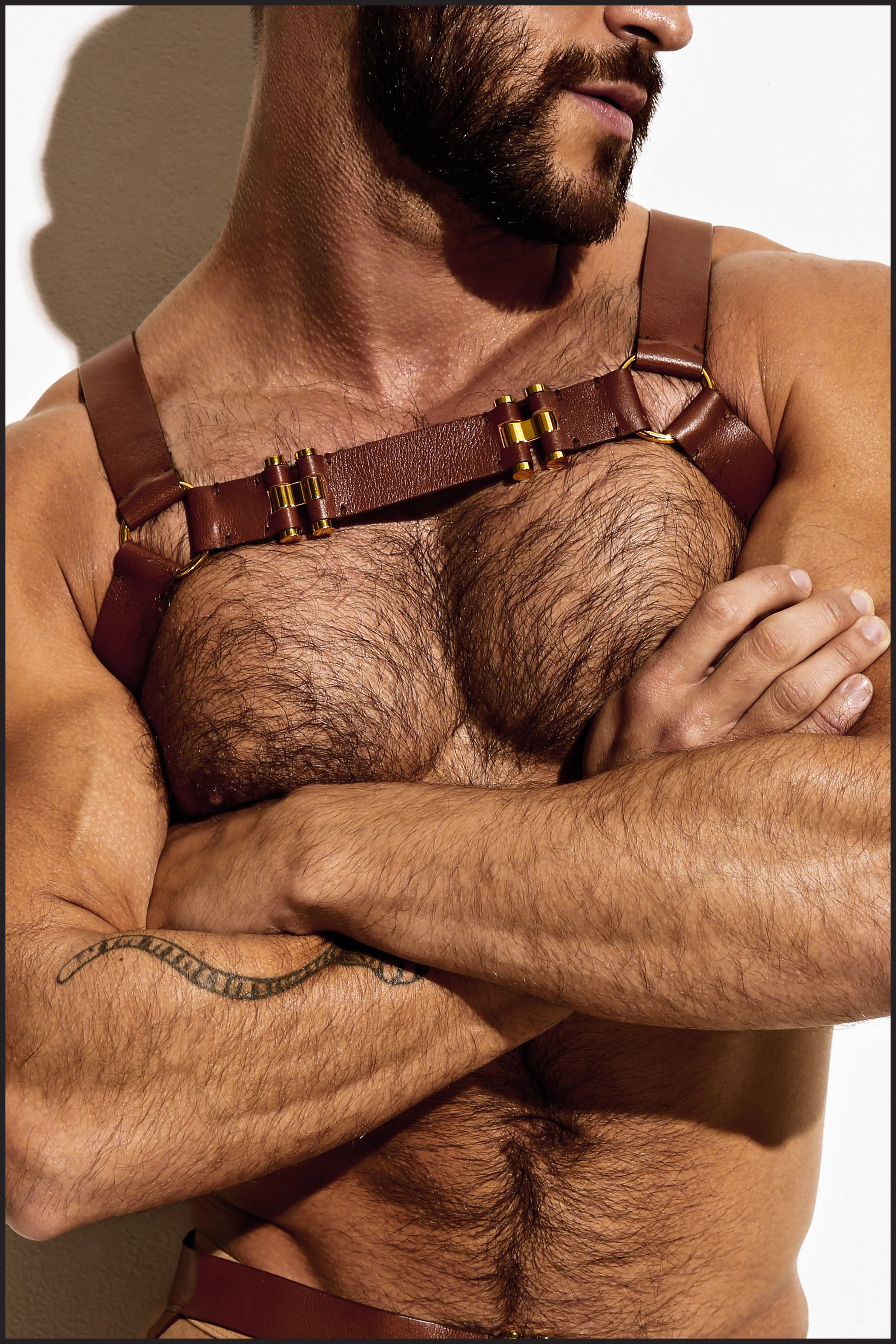 LE Top Harness All